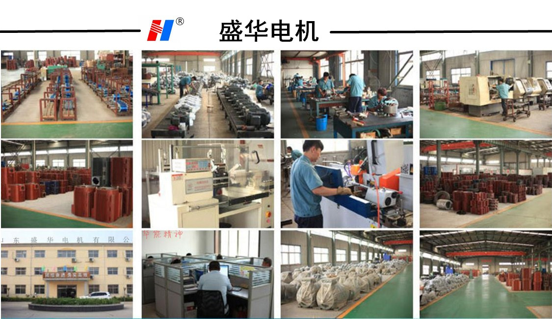 水泵專用電機(jī)定制 水泵專用電機(jī)定制