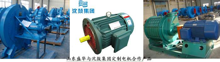山東電機(jī)廠,風(fēng)機(jī)專用電機(jī),電機(jī)定制