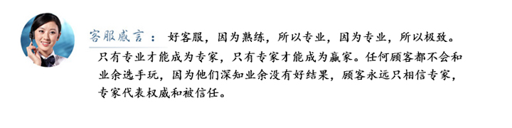 打樁機專用電機