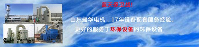 水泵專用電機 水泵專用電機