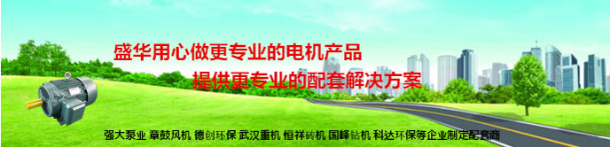 聊城電機廠,電機生產廠家,高效節能電機