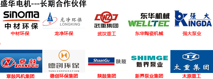 山東聊城盛華電機生產(chǎn)廠家,高效節(jié)能電機,電機頻率