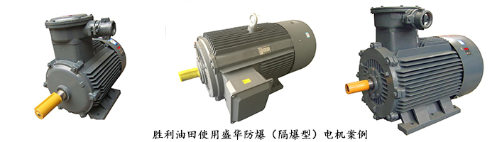 電機(jī)生產(chǎn)廠家,大功率電機(jī),防爆電機(jī)