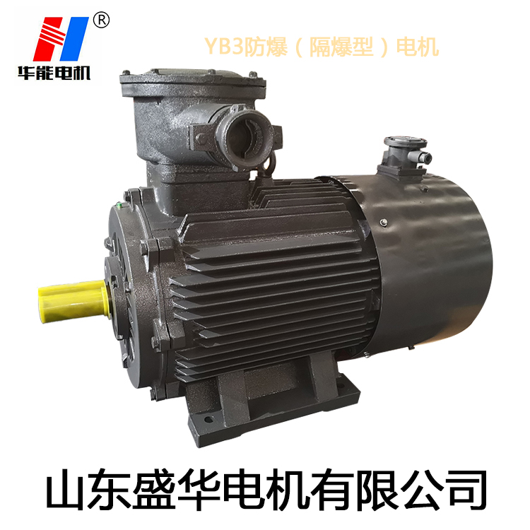 山東變頻電機(jī),電機(jī)生產(chǎn)廠家,大功率防爆電機(jī),電機(jī)防護(hù)等級(jí)
