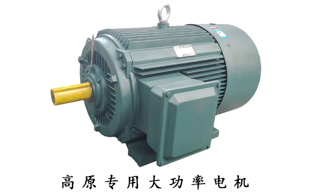 山東電機(jī)廠,高原電機(jī),電機(jī)廠家