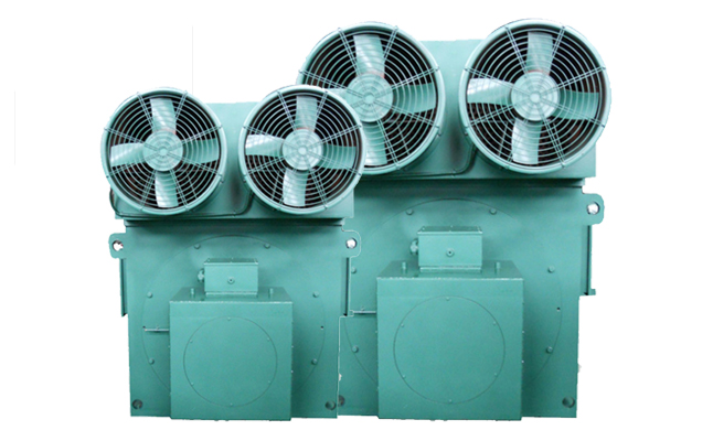 山東電機(jī)廠,電機(jī)廠家,高壓電機(jī)