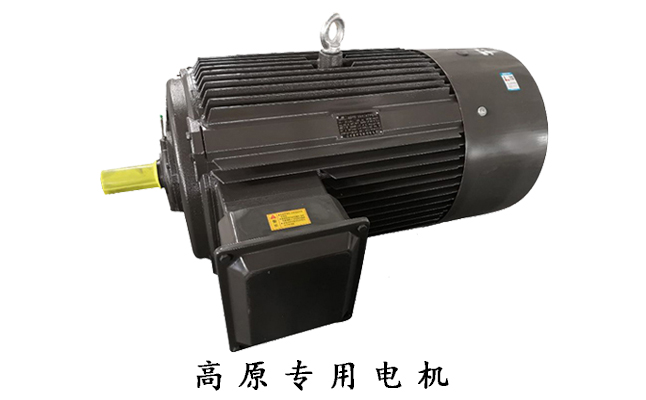 山東電機(jī)廠,三相異步電動(dòng)機(jī),電動(dòng)機(jī)