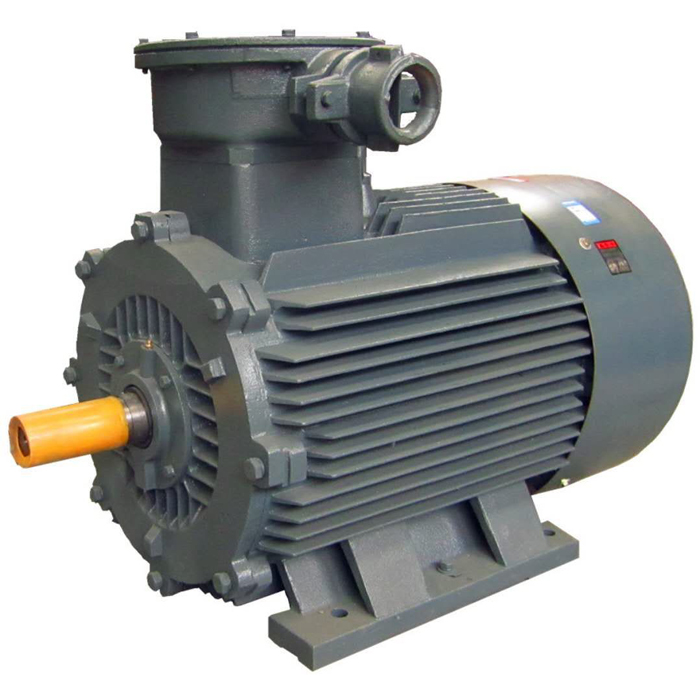 山東電機(jī)廠,大功率電機(jī),大功率防爆電機(jī),電動(dòng)機(jī)