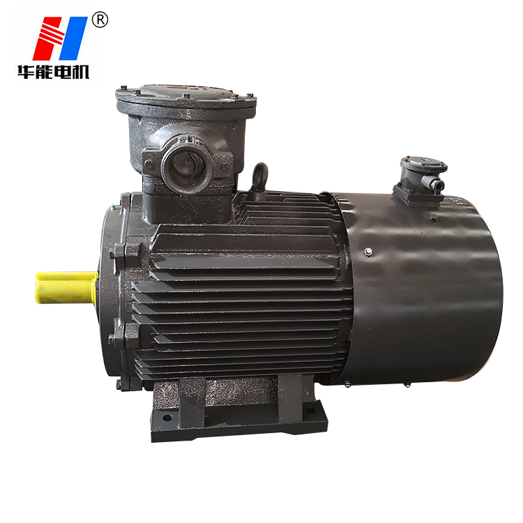 山東電機(jī)廠,大功率電機(jī),大功率防爆電機(jī),電動(dòng)機(jī)