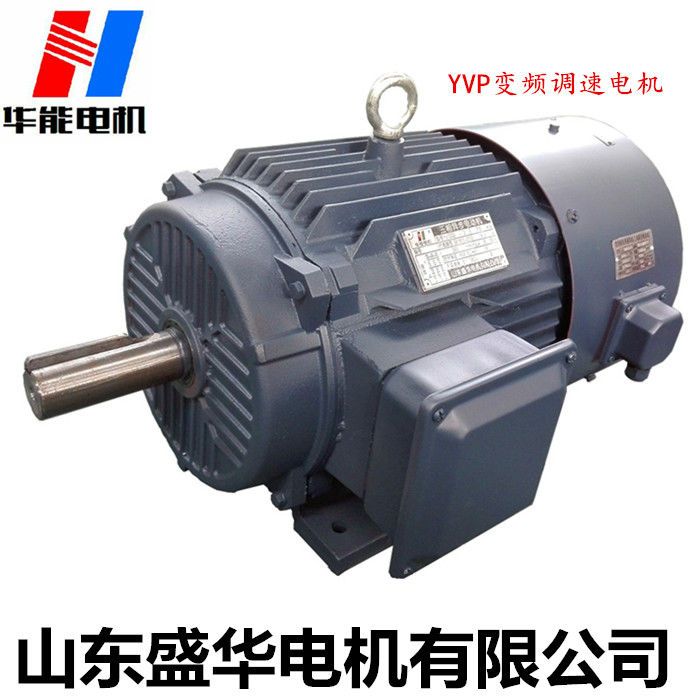 山東電機廠,電機生產(chǎn)廠家,高效電機,變頻電機
