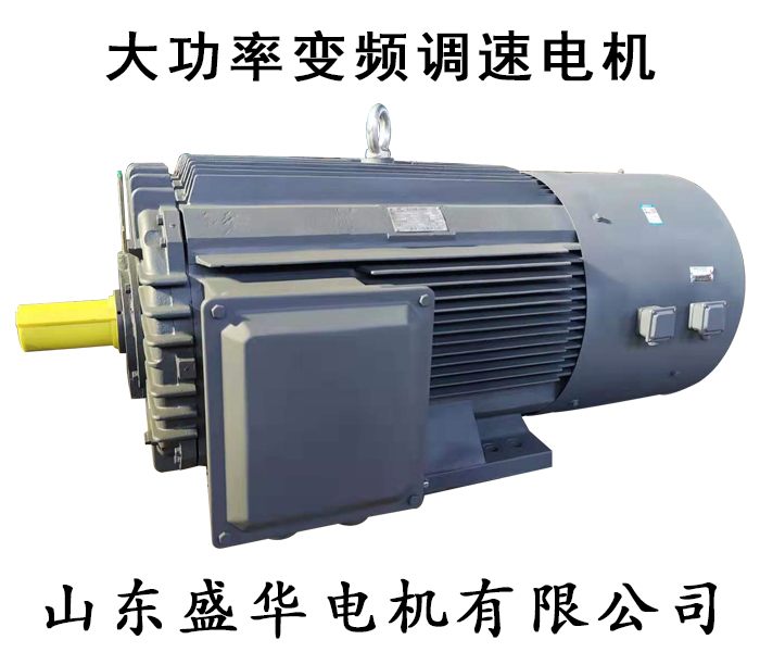 山東電機廠,電機生產(chǎn)廠家,大功率電機